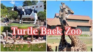 De paseo al TURTLE BACK Z00 2024 West Orange New Jersey🦒🐢🐅🫏🐄 [upl. by Salkin]