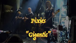 Pixies  “GIgantic”  Guitar Tab ♬ [upl. by Slocum]