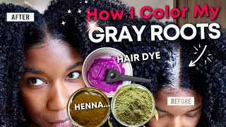 How I Color My GRAY HAIR Permanently  QUICK amp Easy [upl. by Lamrert]