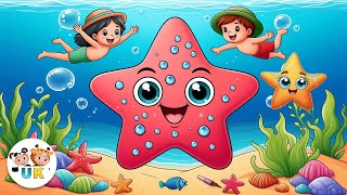 Shooby dooby doo Starfish  Sea Animals Song  Animal Song  Ultra Kids [upl. by Major]