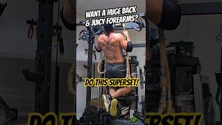 Do This Superset for a HUGE Back and JUICY Forearms calisthenics [upl. by Nylhtac]