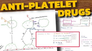 AntiPlatelet Drugs Pharmacology  COX Inhibitors  P2Y12 Receptor Blockers  Aspirin  Clopidogrel [upl. by Chastity]