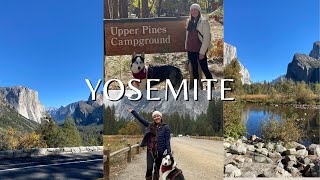 Firsttime at Yosemite National Park  Camping at Upper Pines Campground  Rainy Fall Camping [upl. by Anastasia]