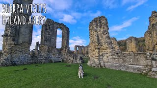 Sherpa visits the Ruins of Byland Abbey [upl. by Belle]