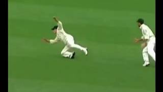 How to Learn cricket Diving Fielding on cricket match [upl. by Niasuh]