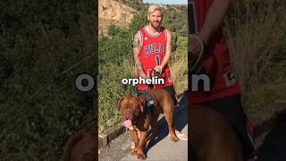 Incroyable histoire dun chien vers Lionel Messi  fini par ladopter [upl. by Emia]