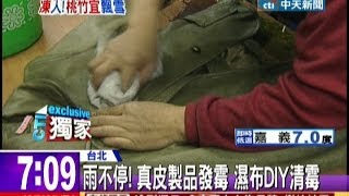 中天新聞》雨不停！ 真皮製品發霉 濕布DIY清霉 [upl. by Horne]