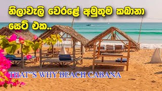 Nilaveli Hotels Sri Lanka  Thats Why Beach Cabana Nilaveli In Sri Lanka [upl. by Tynan]