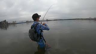 light tackle fishing Durban Harbour [upl. by Semyaj]