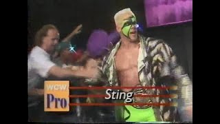 Sting vs Bunkhouse Buck Pro Sept 9th 1995 [upl. by Kaczer]