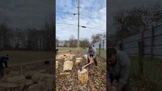 Splitting wood with an axe 65 splittingfirewood [upl. by Ahsimaj447]