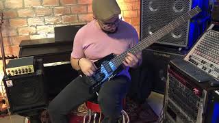 Steinberger Spirit XT25 Demo [upl. by Ayyn159]