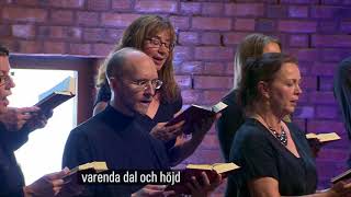 Som liljan på sin äng psalm 798 [upl. by Odrick834]