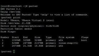 Managing Disk Partition with the parted Tool in CentOS 7 [upl. by Jung971]