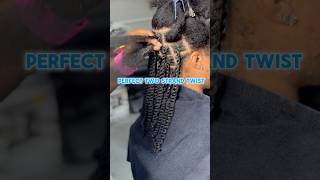 Two strand twist tutorial🔥doublestrandtwisttwostrandtwisttwostrandtwisttutorialtwistoutexplore [upl. by Rinum912]