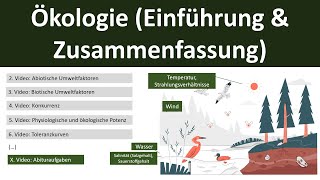 Ökologie EinführungZusammenfassung  Abitur Biologie Ökologie Oberstufe  110 [upl. by Ika25]