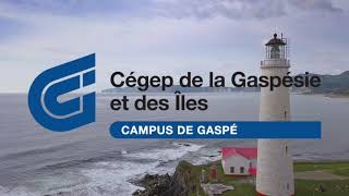 Découvre le campus de Gaspé du Cégep de la Gaspésie et des Îles [upl. by Czarra]