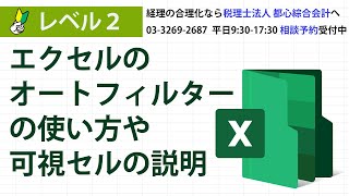 エクセルのオートフィルターの使い方や可視セルの説明 [upl. by Enecnarf]