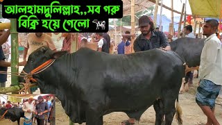 আলহামদুলিল্লাহসব গরু বিক্রি হয়ে গেলো 🐄 [upl. by Icats372]