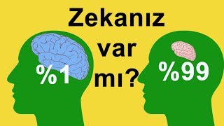 Zekanız Ne Kadar çalışıyor Verdiğiniz Cevap Gerçek Karakterinizi Ortaya Çıkarıyor [upl. by Homerus320]