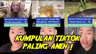 KUMPULAN TIKTOK PALING ANEH ‼️😱⚠️ [upl. by Ahsercel599]