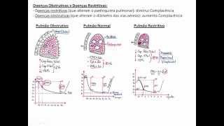 ESPIROMETRIA  ENTENDA A FISIOLOGIA DE VEZ [upl. by Rhoads]