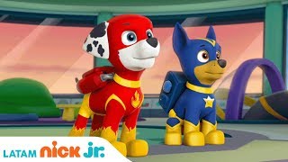 ¡Salvando a Apollo el Super Cachorro  Paw Patrol  Nick Jr  América Latina  Español [upl. by Winterbottom]