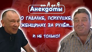 Новые анекдоты про Вовочку😁 о гаишниках и 👩🏼 за рулём Сдержать смех не удастся [upl. by Hareehat41]