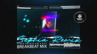 DJ Sephia Breakbeat  Barry Minor [upl. by Dolphin]