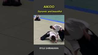 Dynamic and beautiful Aikido  RYUJI SHIRAKAWA [upl. by Valida29]