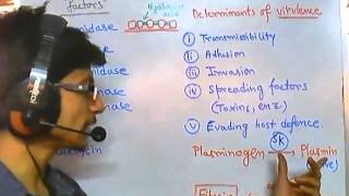 Spreading factors of bacterial infection [upl. by Oigile]