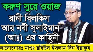 Bangla Waz Maolana Robiul Islam রানী বিলকিস আর নবী সুলাইমান [upl. by Mary]