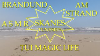 TUI Magic Life Skanes Tunesien  ASMR Brandung am Strand [upl. by Selij371]