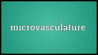 Microvasculature Meaning [upl. by Plath]