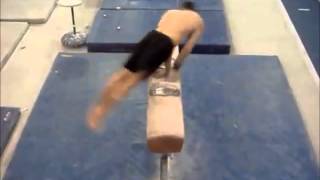 Pommel Horse Wu Guonian Gymnastics Video [upl. by Eitsym]