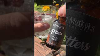 Foraging Sarsaparilla to Make Spiced Maple Drink Bitters  Wild Muskoka [upl. by Riesman]