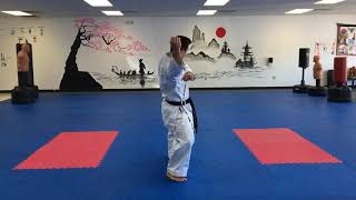 Wado Ryu Pinan Godan Kazoku Karate Dojo [upl. by Santini]