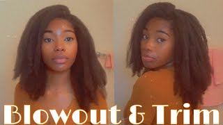 How I BLOW OUT and TRIM my 4c hair 🪄 [upl. by Amalbergas]