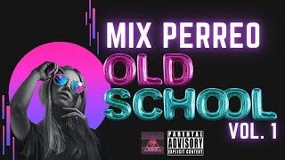 Mix Perreo OldSchool 🔥😈  Mix Reggaeton Clasico  Dj TecnoAlarcon 🔥🎧 [upl. by Lokkin]