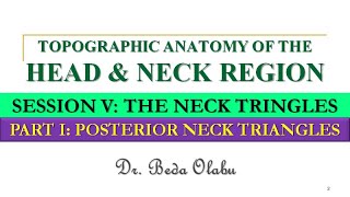 ANATOMY OF THE NECK TRIANGLES PART I  THE POSTERIOR NECK TRIANGLES AND THE SUBOCCIPITAL TRIANGLE [upl. by Yelyah]