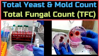 Total Yeast amp Mold Count Total Fungal CountA Complete Procedure BAM Ch18 [upl. by Kajdan286]