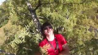 2014 tree climbing rendezvous climbing a Bald Cypress [upl. by Alrac]