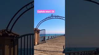 Capitola wharf CA beach fishing [upl. by Islean]