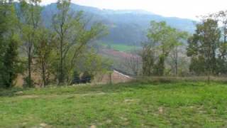 New vipassana center Italy [upl. by Allyson439]