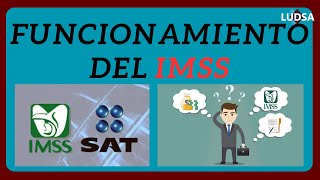 COMO FUNCIONA EL IMSS [upl. by Madigan]