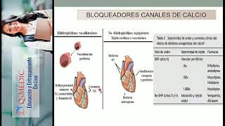 Qx cardiologia  FARMACOLOGIA CALCIOANTAGONISTAS [upl. by Lenoil]