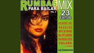 Rumbas Para Bailar Vol2 Mix [upl. by Arhsub95]