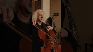 Mischa Maisky performs SaintSaëns’ quotThe Swanquot 🦢 shorts [upl. by Ttelrahc716]