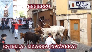 Encierro EstellaLizarra Navarra Mayo 2024 [upl. by Imalda]