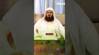 Powerful Example of Right Speech  Mufti Menk islamicscholar motivation muftimenkreminders [upl. by Babbie]